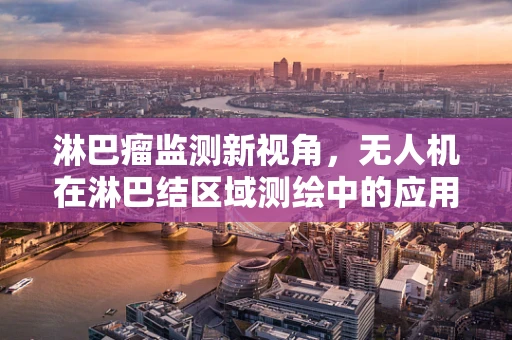 淋巴瘤监测新视角，无人机在淋巴结区域测绘中的应用潜力