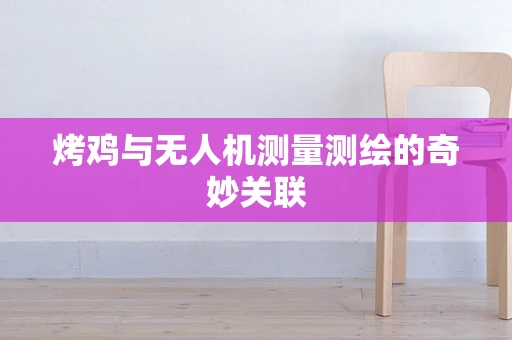烤鸡与无人机测量测绘的奇妙关联
