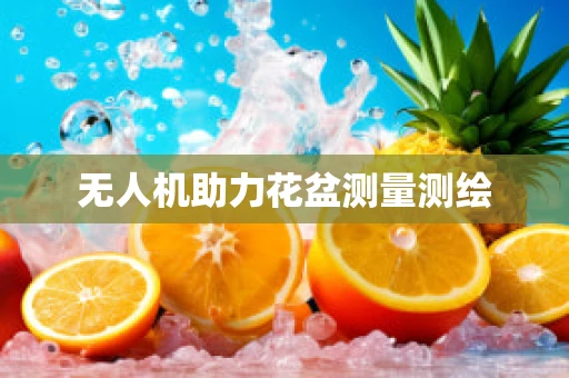 无人机助力花盆测量测绘
