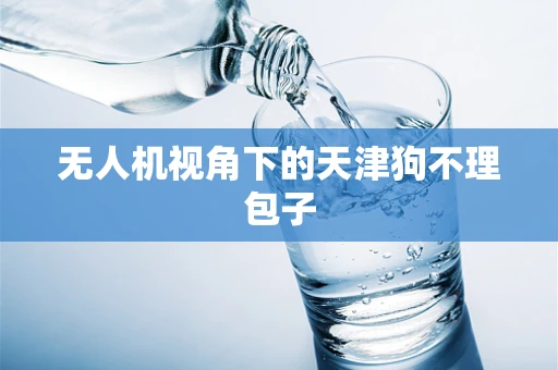 无人机视角下的天津狗不理包子