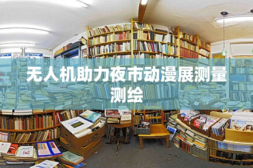 无人机助力夜市动漫展测量测绘