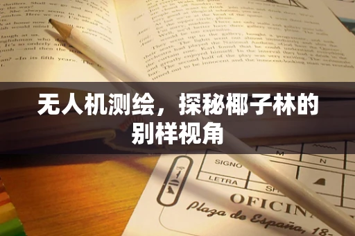 无人机测绘，探秘椰子林的别样视角
