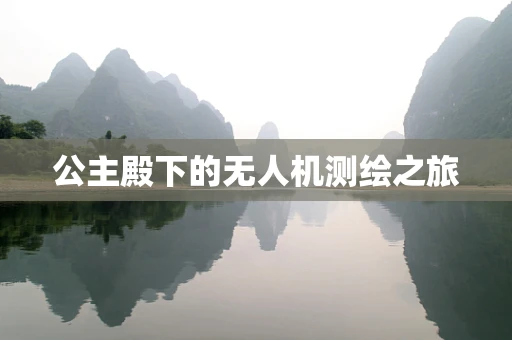 公主殿下的无人机测绘之旅