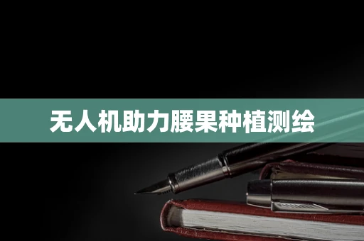 无人机助力腰果种植测绘