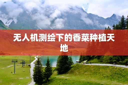 无人机测绘下的香菜种植天地