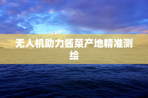无人机助力酱菜产地精准测绘