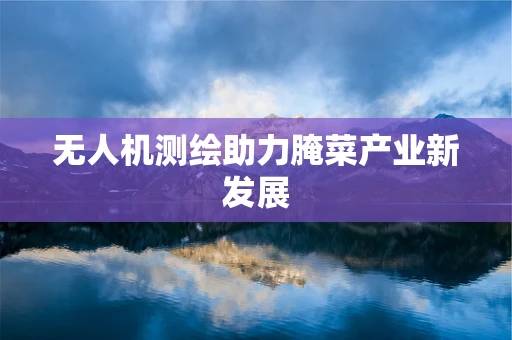 无人机测绘助力腌菜产业新发展