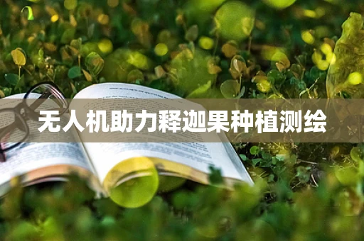 无人机助力释迦果种植测绘