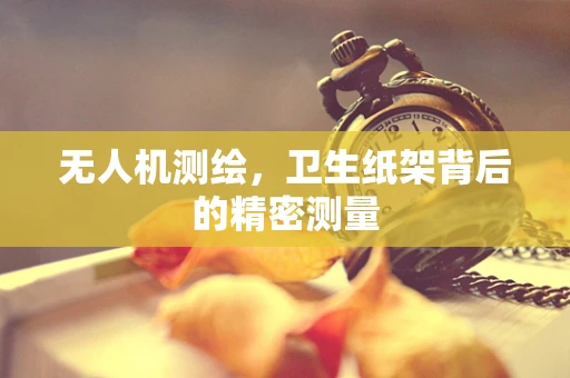 无人机测绘，卫生纸架背后的精密测量