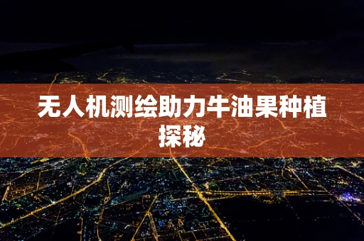 无人机测绘助力牛油果种植探秘