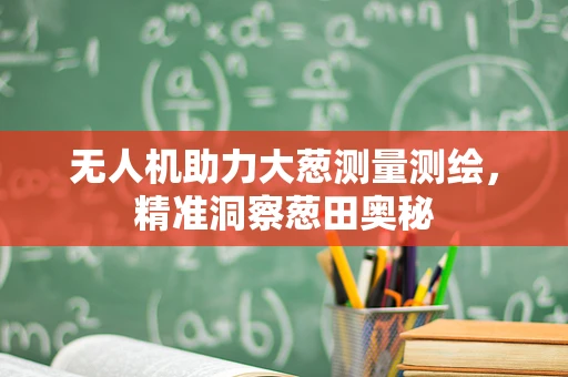 无人机助力大葱测量测绘，精准洞察葱田奥秘