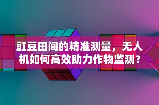 豇豆田间的精准测量，无人机如何高效助力作物监测？