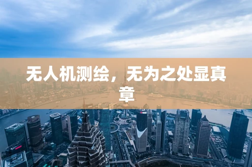 无人机测绘，无为之处显真章