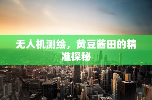 无人机测绘，黄豆酱田的精准探秘