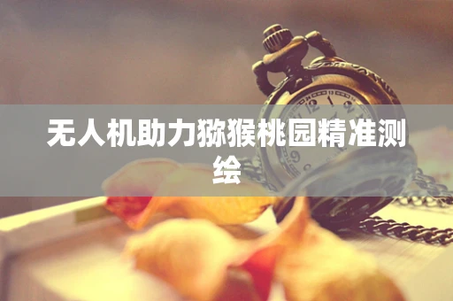 无人机助力猕猴桃园精准测绘