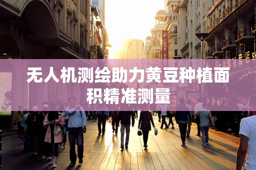 无人机测绘助力黄豆种植面积精准测量