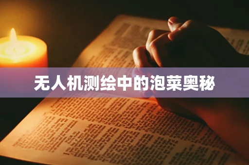 无人机测绘中的泡菜奥秘