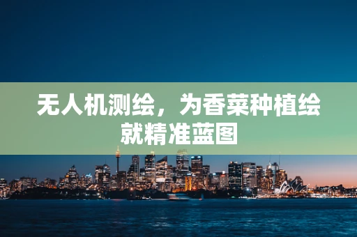 无人机测绘，为香菜种植绘就精准蓝图