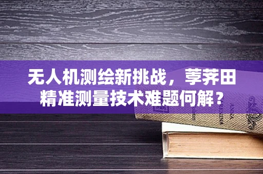 无人机测绘新挑战，荸荠田精准测量技术难题何解？