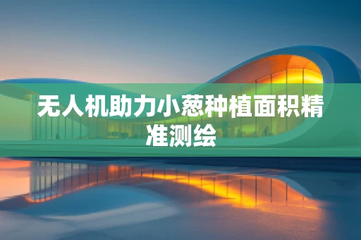 无人机助力小葱种植面积精准测绘