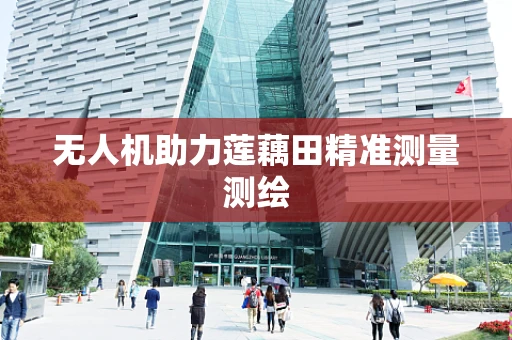 无人机助力莲藕田精准测量测绘