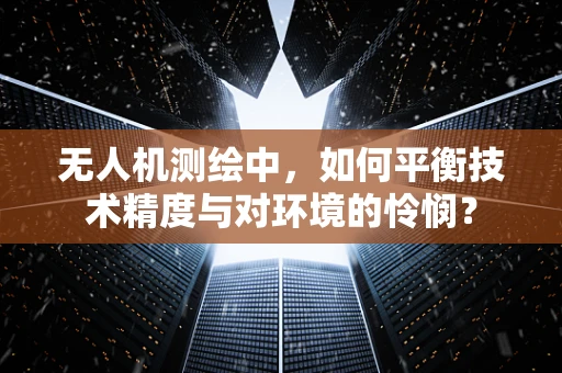 无人机测绘中，如何平衡技术精度与对环境的怜悯？