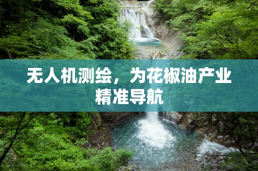 无人机测绘，为花椒油产业精准导航
