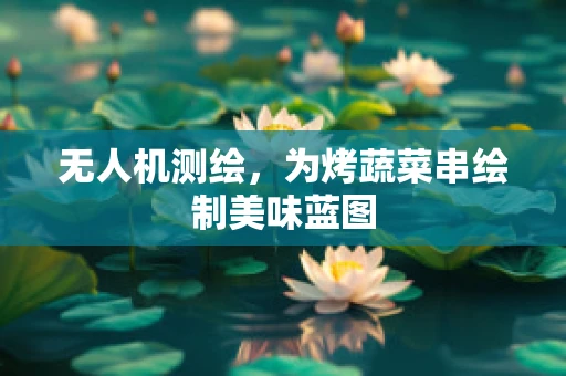 无人机测绘，为烤蔬菜串绘制美味蓝图