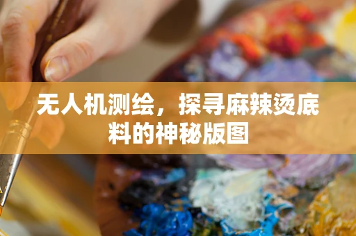 无人机测绘，探寻麻辣烫底料的神秘版图