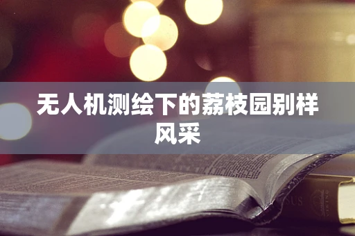 无人机测绘下的荔枝园别样风采