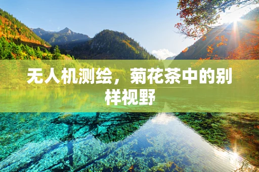 无人机测绘，菊花茶中的别样视野
