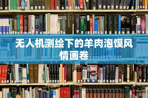 无人机测绘下的羊肉泡馍风情画卷
