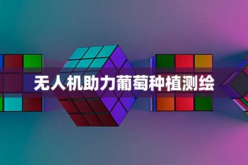 无人机助力葡萄种植测绘