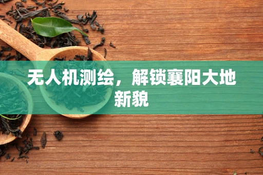 无人机测绘，解锁襄阳大地新貌