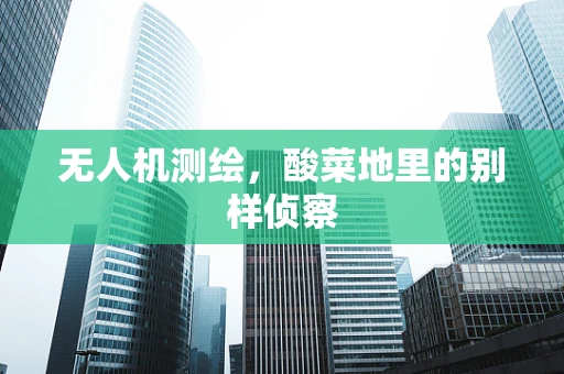 无人机测绘，酸菜地里的别样侦察