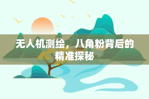 无人机测绘，八角粉背后的精准探秘