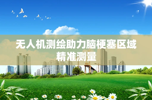 无人机测绘助力脑梗塞区域精准测量