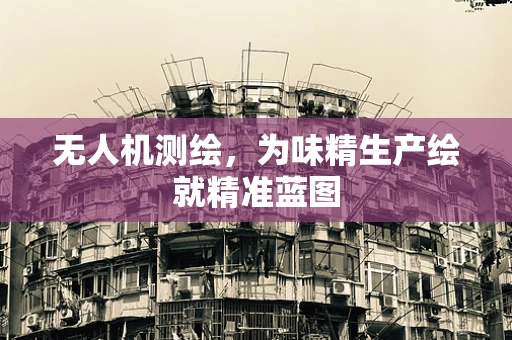无人机测绘，为味精生产绘就精准蓝图