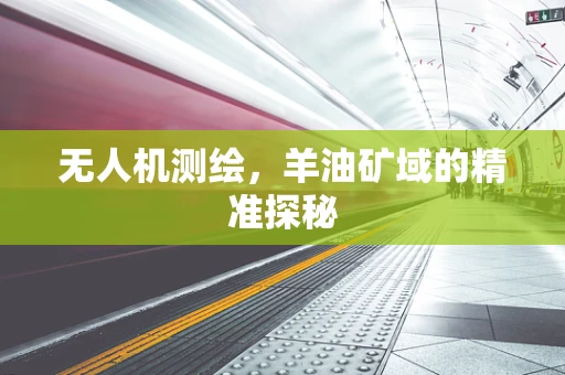 无人机测绘，羊油矿域的精准探秘