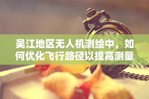 吴江地区无人机测绘中，如何优化飞行路径以提高测量精度？