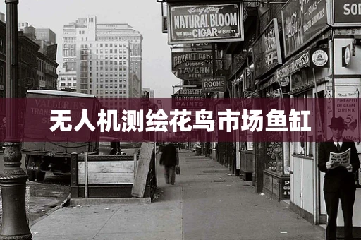 无人机测绘花鸟市场鱼缸