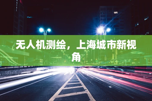 无人机测绘，上海城市新视角