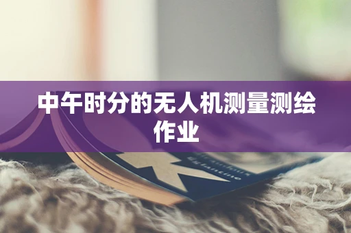 中午时分的无人机测量测绘作业