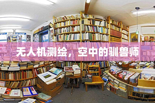 无人机测绘，空中的驯兽师