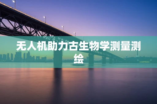 无人机助力古生物学测量测绘