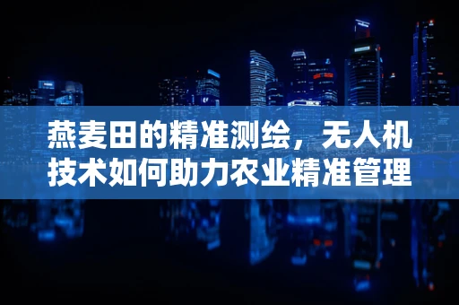 燕麦田的精准测绘，无人机技术如何助力农业精准管理？