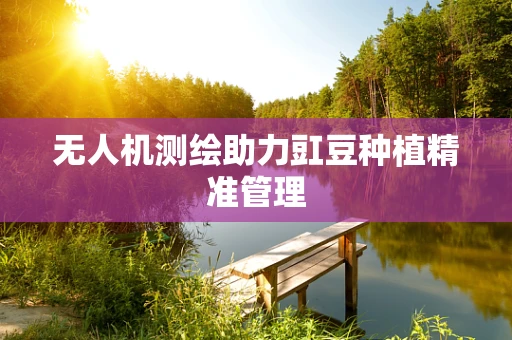 无人机测绘助力豇豆种植精准管理