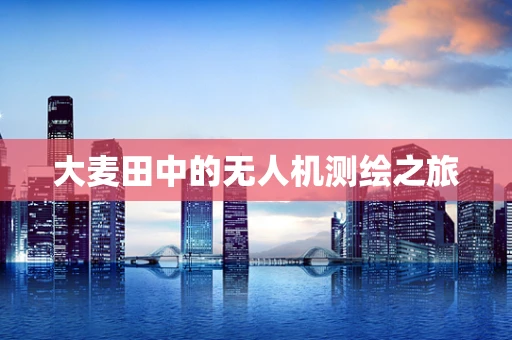 大麦田中的无人机测绘之旅