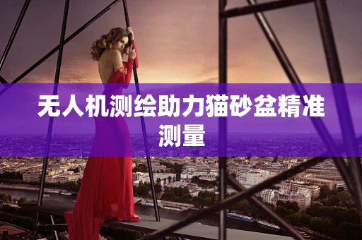 无人机测绘助力猫砂盆精准测量