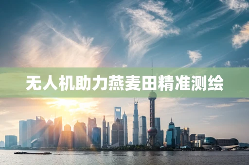 无人机助力燕麦田精准测绘